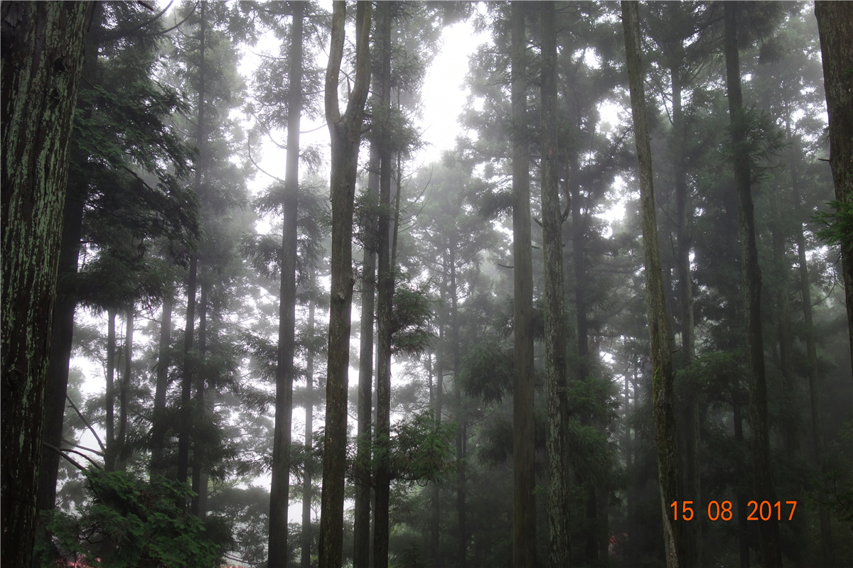 凯发·k8(中国游)官方网站