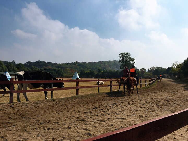 凯发·k8(中国游)官方网站