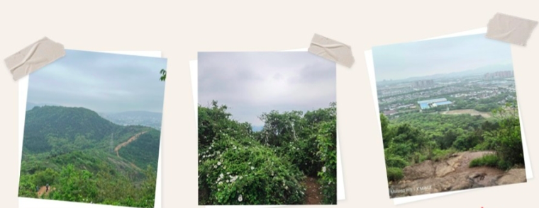 凯发·k8(中国游)官方网站