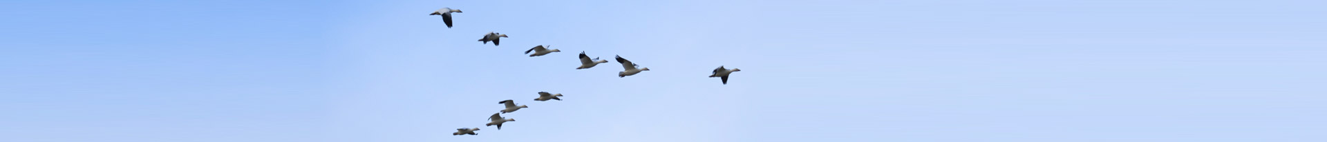 凯发·k8(中国游)官方网站